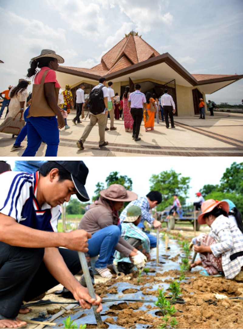 people planting trees and visitors of the temple